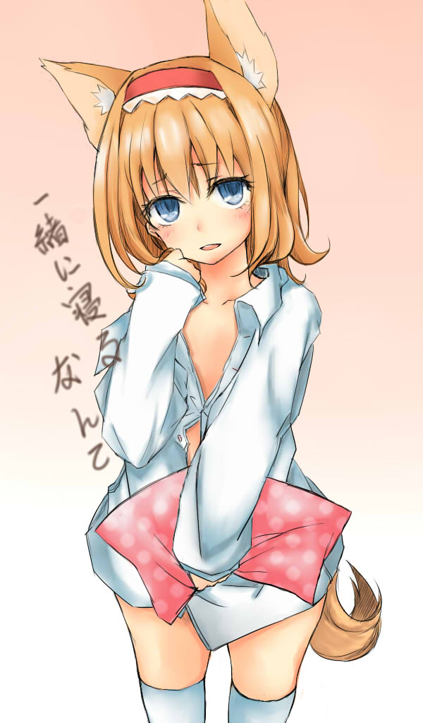 alice_margatroid animal_ears bad_id bad_pixiv_id blonde_hair blouse blue_eyes blush collarbone dog_ears dog_tail from_above gradient gradient_background hair_between_eyes kemonomimi_mode kneehighs looking_at_viewer naked_shirt open_mouth patchouligo shirt short_hair solo tail touhou white_blouse