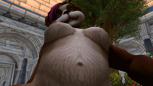 2015 animated breasts brown_fur female fur nipples nude pandaren runiclodges sex video_games warcraft