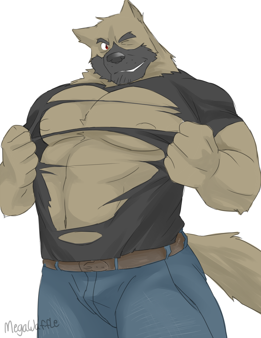 2016 anthro beard belt biceps canine clothed clothing dog facial_hair fur german_shepherd male mammal megawaffle_(artist) muscular muscular_male one_eye_closed pants pecs ripping shirt simple_background smile solo teeth torn_clothing wink