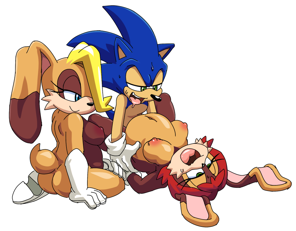 blue_eyes breasts coolblue drooling eyelashes fan_character female green_eyes group half-closed_eyes hedgehog impregnation lagomorph lying male male/female mammal missionary_position on_back open_mouth pregnant rabbit saliva sex sitting smile sonic_(series) sonic_the_hedgehog sweat tongue tongue_out
