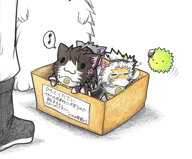 animal animalization box cat cherry_blossoms closed_eyes colored_pencil_(medium) commentary cub dainamitee eighth_note female_admiral_(kantai_collection) for_adoption glasses hat in_box in_container kantai_collection kitten lion lion_cub marimo military military_uniform musashi_(kantai_collection) musical_note no_humans non-human_admiral_(kantai_collection) nose_bubble o_o shinano_(kantai_collection) shoes simple_background spoken_musical_note traditional_media translated uniform white_background yamato_(kantai_collection)