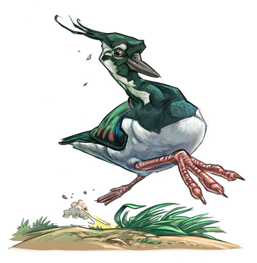 2012 3_toes action_pose ambiguous_gender avian beak biped bird bird_feet brown_eyes brown_feathers claws countershade_tail countershade_torso countershading crest digital_drawing_(artwork) digital_media_(artwork) dirt doodle.nl dust feathered_crest feathers feral foreshortening grass green_feathers green_tail grey_beak lapwing lighting looking_aside looking_away multicolored_feathers nature northern_lapwing outside perspective pose running shadow shorebird simple_background smile solo suspended_in_midair tail_feathers talons toe_claws toes two_tone_tail white_background white_countershading white_feathers white_tail