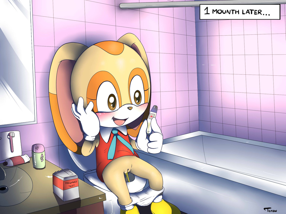 2013 anthro bathroom blush bottomless clothed clothing cream_the_rabbit female footwear generalbunbun inside lagomorph mammal peeing pregnant pussy rabbit shoes skirt smile solo sonic_(series) underwear urine young