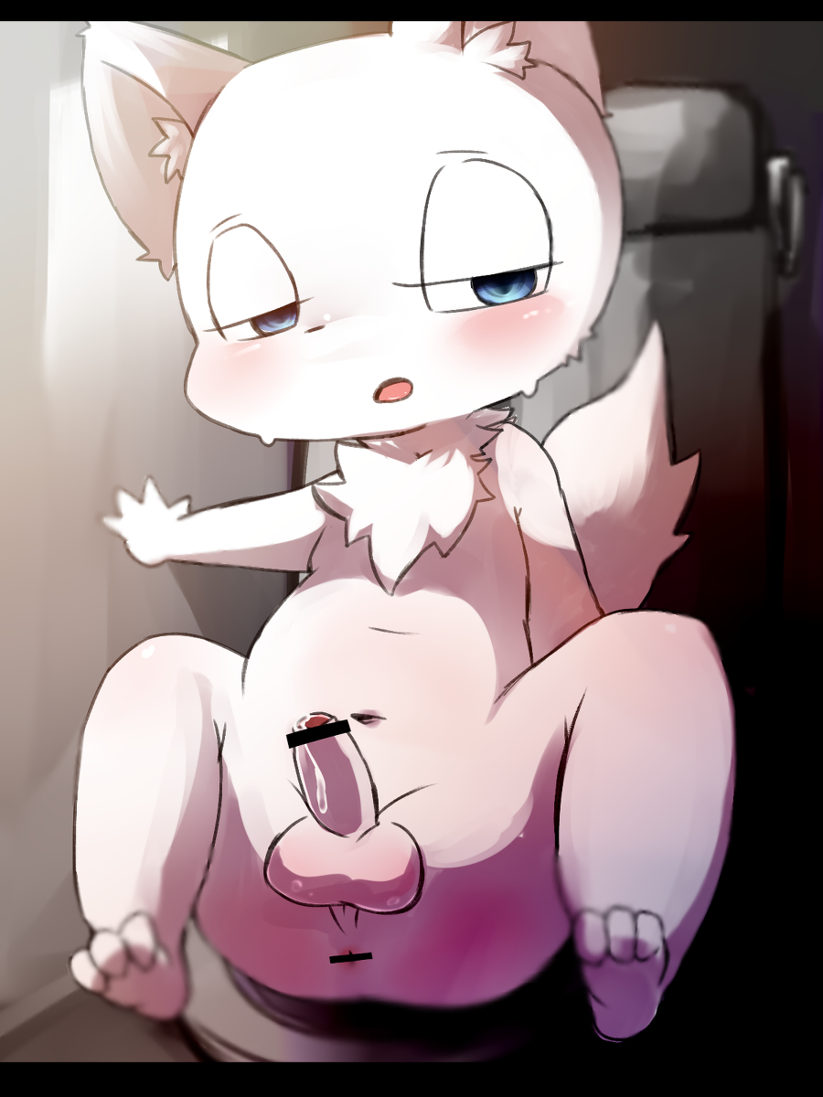 alternate_version_available anthro anus balls blue_eyes blush borushi butt canine censored chest_tuft cub cute fur half-closed_eyes male mammal nude open_mouth penis perineum precum sitting solo spread_legs spreading tuft uncut white_fur young