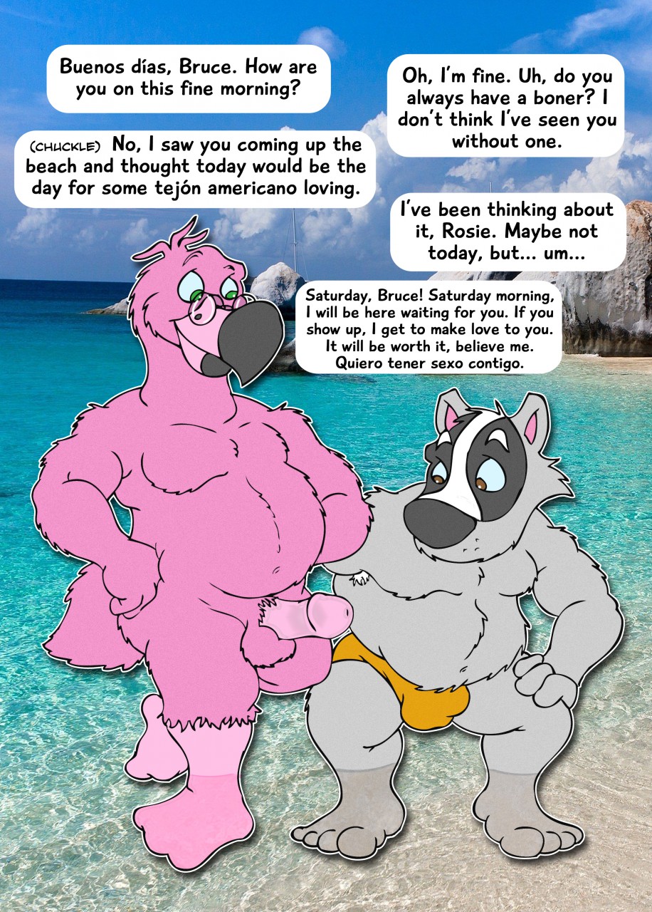 anthro avian badger balls beach beak bird black_fur briefs bruce_(brucebadger) brucebadger bulge clothing duo english_text feathers flamingo fur grey_fur looking_at_penis male male/male mammal mature mustelid overweight penis pink_feathers presenting rosie_(brucebadger) seaside spanish_text spectacles speech_bubble text translation_request underwear