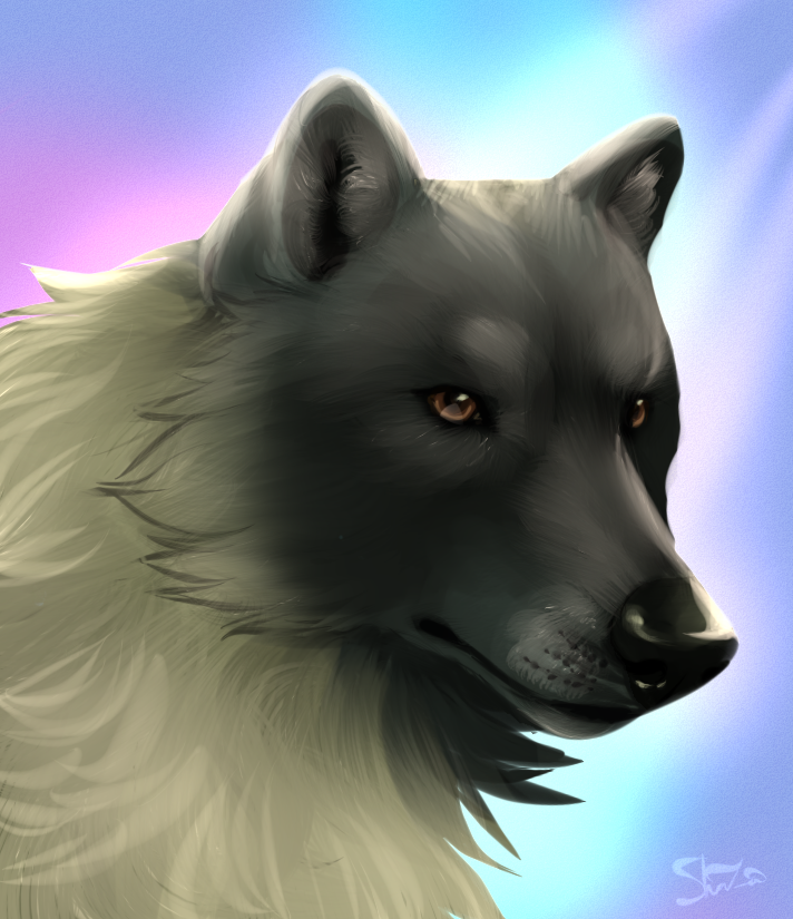 black_nose blue_background brown_eyes canine cedrik_(character) feral fur grey_fur male mammal shaza shaza_(artist) simple_background solo wolf