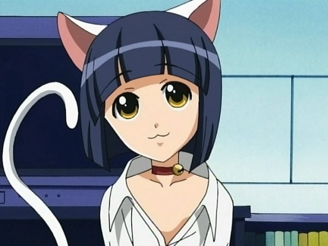 :3 amber_eyes bell blue_hair collar nekomimi short_hair tag_me white_shirt