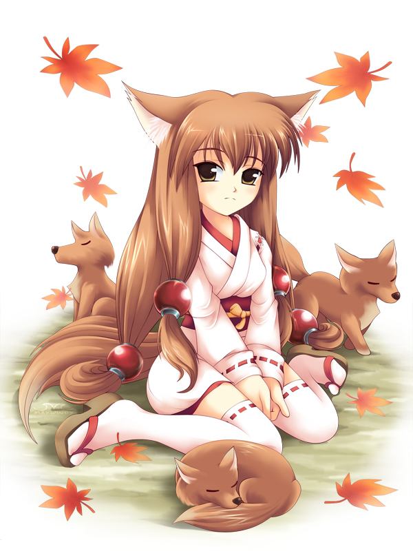 animal_ears fox fox_ears foxgirl japanese_clothes kimono kitsunemimi long_hair miko tail thigh_highs thighhighs