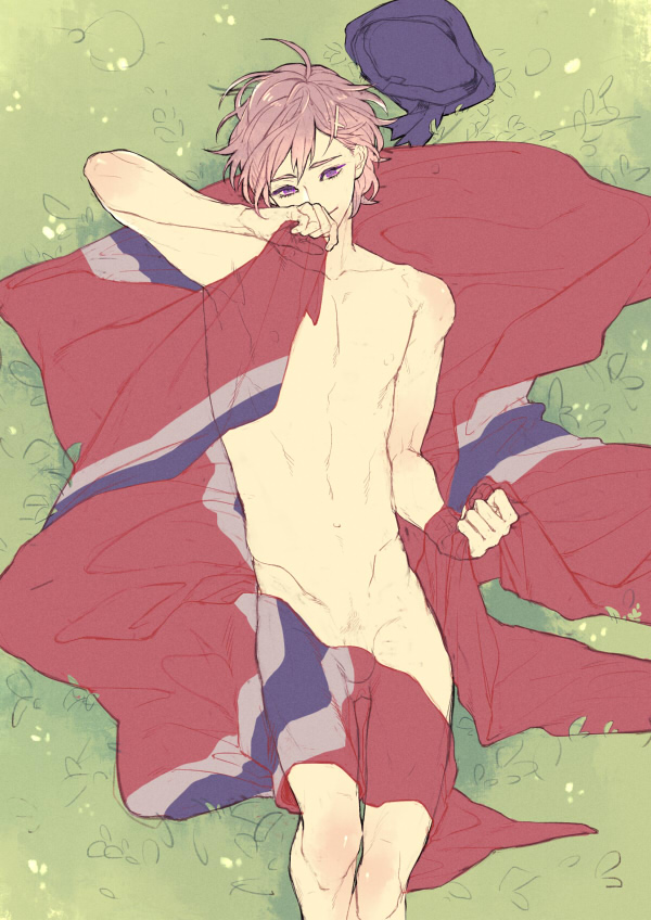 adonis_belt axis_powers_hetalia clenched_hand closed_mouth covering dethmath grass groin hair_ornament hairclip hat hat_removed headwear_removed lying male_focus male_pubic_hair navel nipples norway_(hetalia) norwegian_flag nude on_back perineum pubic_hair purple_eyes smile solo x_hair_ornament