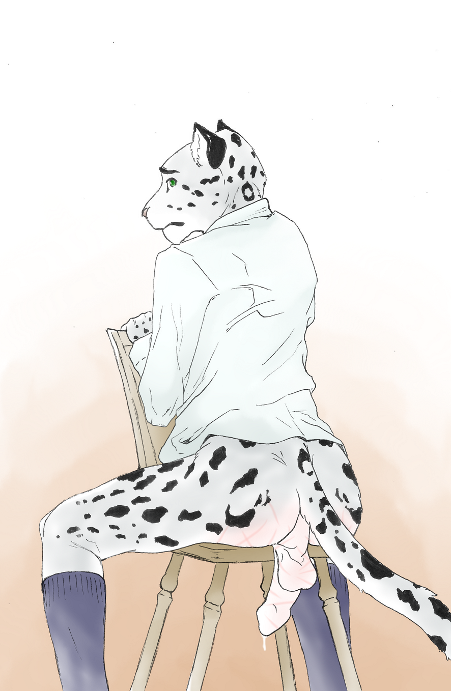 9x9 ballbusting balls butt chair clothing cock_and_ball_torture erection feline humanoid_penis legwear leopard male mammal penis simple_background sitting snow_leopard socks solo spank_marks