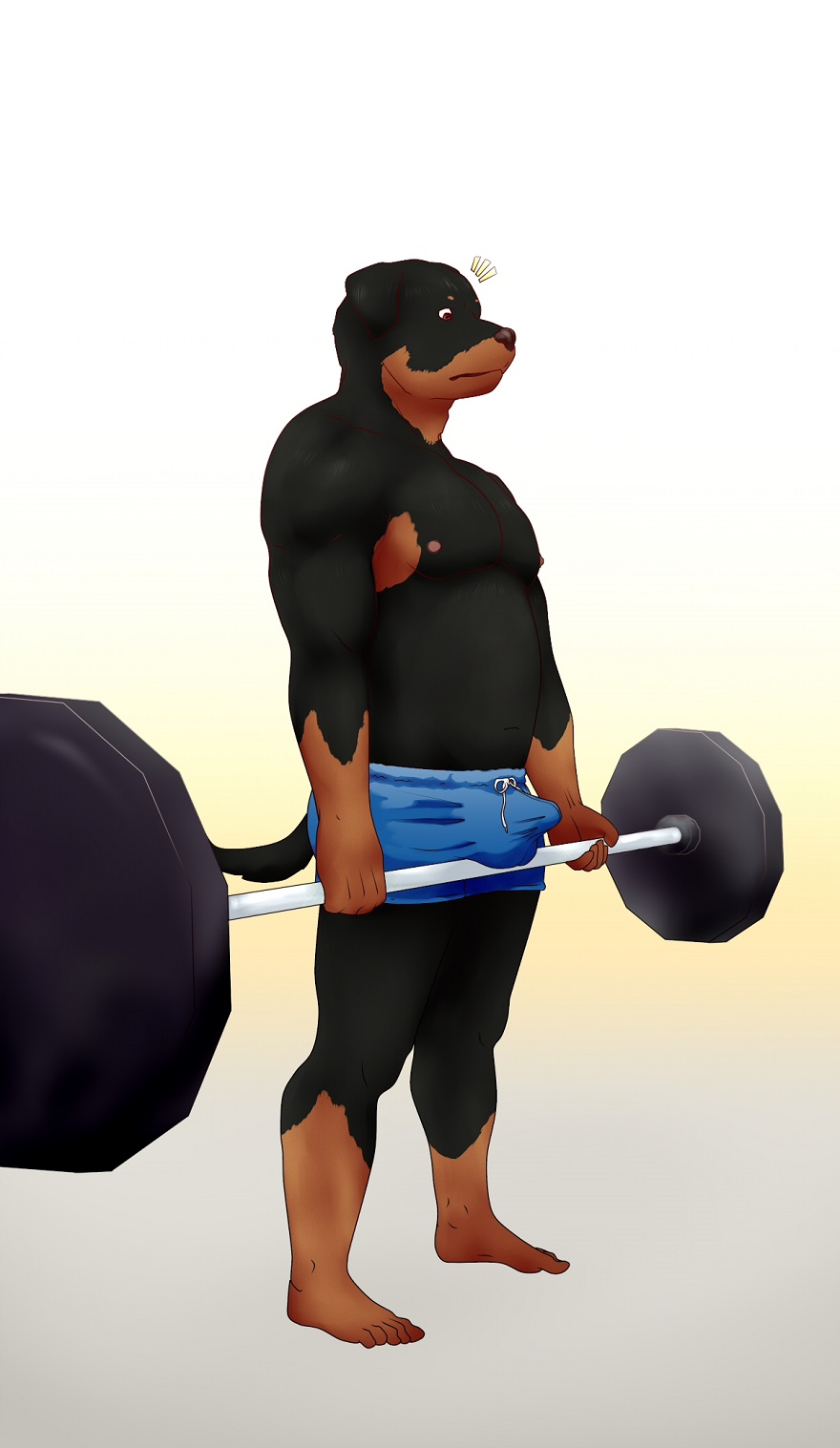 9x9 belly bulge canine clothed clothing dog erection looking_down male mammal musclegut muscular rottweiler simple_background solo topless weights