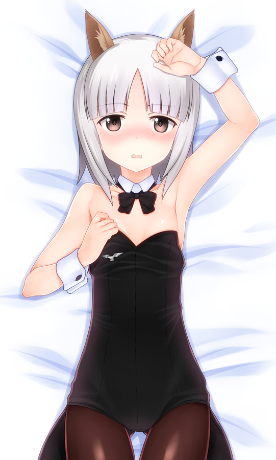 animal_ears armpits arms_up bed_sheet black_legwear blush bow bowtie brave_witches brown_eyes coattails cowboy_shot dakimakura detached_collar edytha_rossmann flat_chest fox_ears from_above leotard looking_at_viewer lying medal okina_ika on_back pantyhose playboy_bunny_leotard short_hair silver_hair solo world_witches_series wrist_cuffs