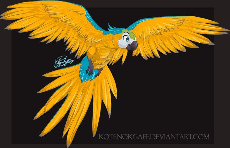 ambiguous_gender avian beak bird feathered_wings feathers feral flying kotenokgaff parrot spread_wings wings
