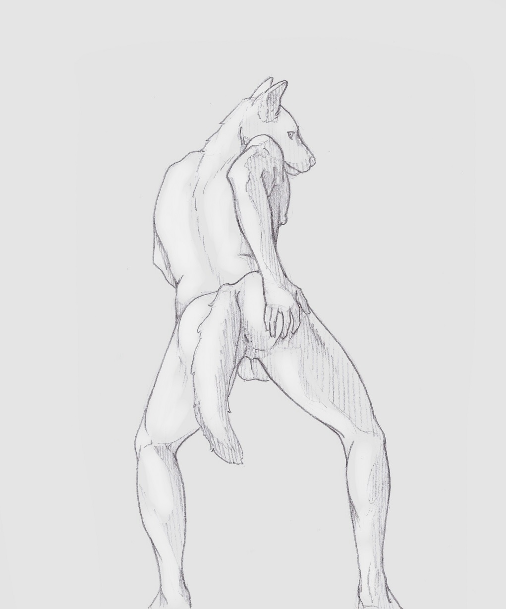 9x9 anus backsack balls butt canine invalid_tag looking_at_viewer male mammal pose simple_background sketch solo wolf