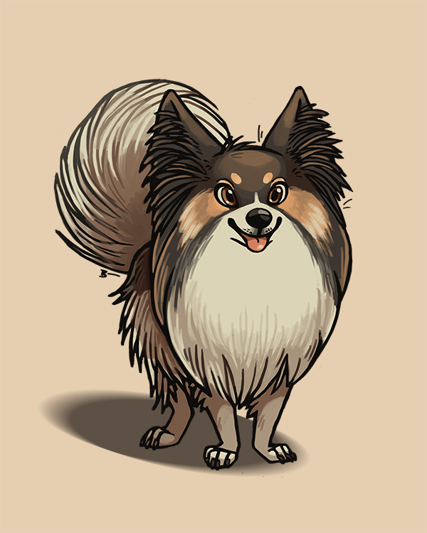 2016 brown_eyes canine claws dog feral fluffy inner_ear_fluff looking_at_viewer mammal papillon sepia_(artist) simple_background smile solo standing toe_claws tongue tongue_out