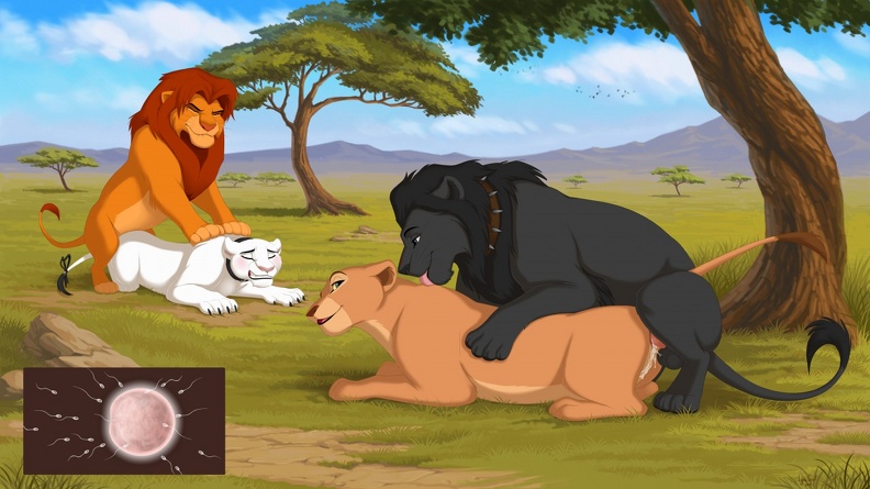 balls disney doggy_(disambiguation) female foursome from_behind_position group group_sex licking male male/female nala otherchars painful sex simba the_lion_king tongue tongue_out