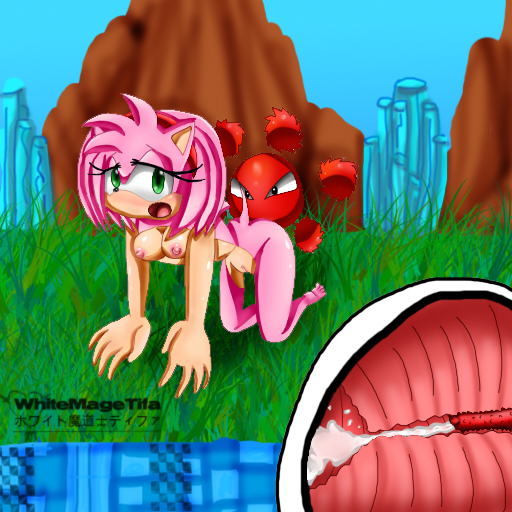 amy_rose sonic_team tagme whitemagetifa