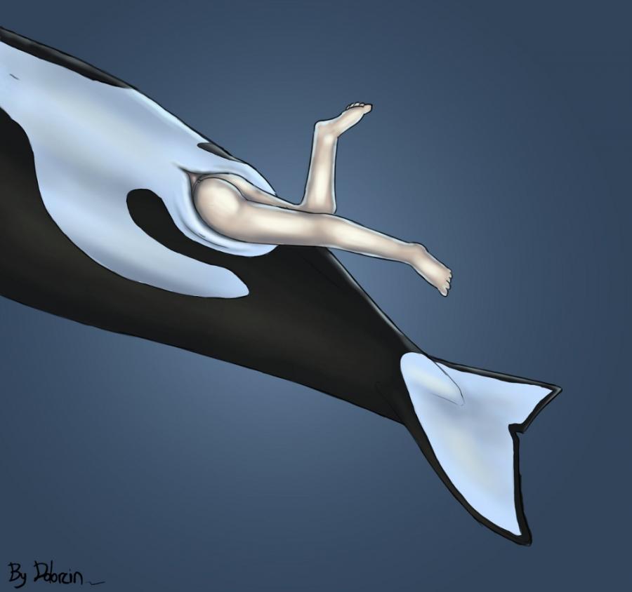 2012 cetacean collaboration dolorcin dolphin female human inside mammal marine nude orca pussy sirorca unbirthing vore whale