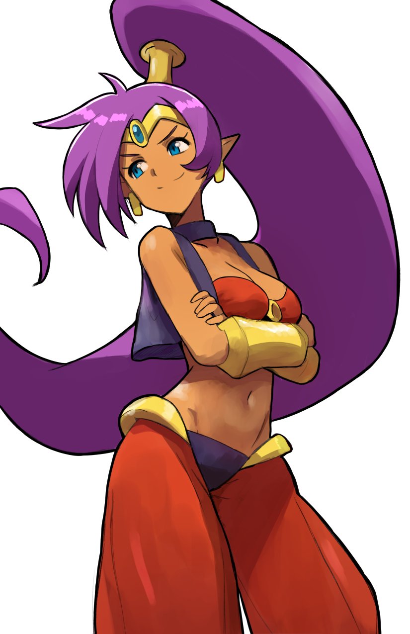 1girl black_panties black_vest blue_eyes bra breasts cowboy_shot crossed_arms crotchless crotchless_pants dark-skinned_female dark_skin earrings forehead_jewel high_ponytail highres jewelry long_hair looking_to_the_side medium_breasts mirlo2hu navel panties pants pointy_ears purple_hair red_bra red_pants shantae shantae_(series) simple_background smirk solo underwear very_long_hair vest white_background