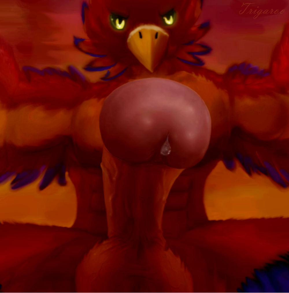 2017 abs anthro avian biceps first_person_view fur genital_focus glans glossy_glans looking_at_viewer low-angle_view male muscular muscular_male pecs penis precum red_fur solo sunset trigaroo vein veiny_penis yellow_eyes