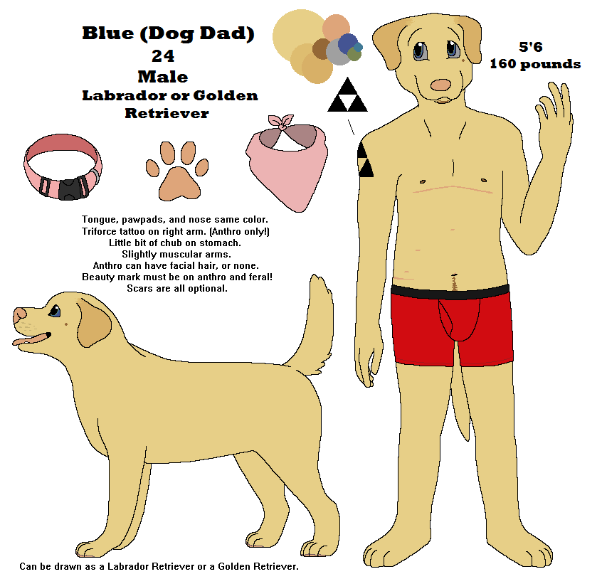 2015 aliasing anthro arm_tattoo bird_dog blue_eyes body_hair boxer_briefs canid canine canis character_name clothed clothing collar color_swatch digital_drawing_(artwork) digital_media_(artwork) digitigrade domestic_dog english_text eyebrows feral floppy_ears grey_sclera happy_trail hindpaw humanoid_hands hunting_dog kerchief labrador male male_anthro mammal mastectomy_scar model_sheet multiple_forms neckerchief open_mouth paws pink_collar pink_kerchief pink_neckerchief pink_nose pink_scar pink_tongue plantigrade raised_tail red_boxer_briefs red_clothing red_underwear retriever scar sebdoggo shoulder_tattoo simple_background snout solo standing stated_adult stated_age tail tattoo text tongue trans_(lore) trans_man_(lore) triforce_tattoo underwear underwear_only whisker_spots white_background