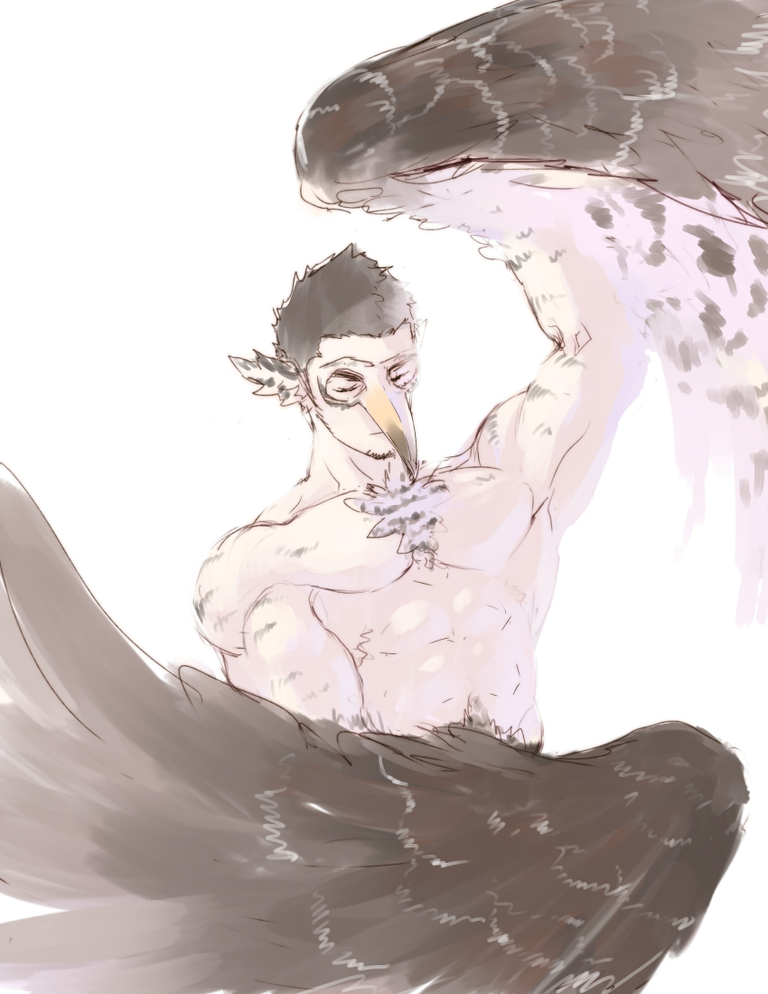 1boy abs animal_feet arm_up bara beak body_fur chest_tuft closed_eyes closed_mouth eye_mask facial_hair feathered_wings harpy_boy head_wings male_focus monster_boy muted_color nude original p!k@ru pectorals sideburns_stubble solo stomach stubble toned toned_male unfinished upper_body white_background winged_arms wings