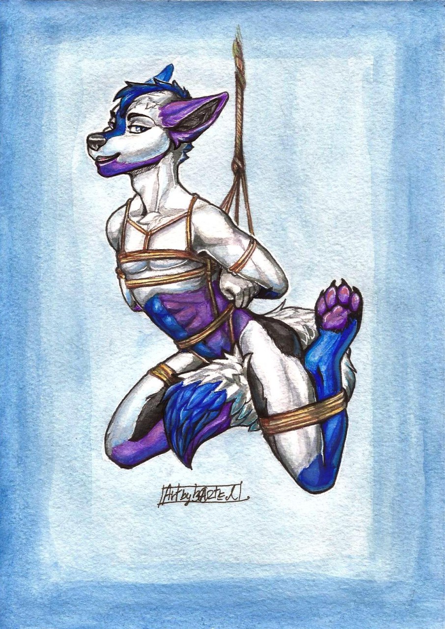 anthro bdsm black_fur blue_fur canine evenesko_dzoronte fur hanging_(disambiguation) male mammal purple_fur restrained rope solo spidythewolfy white_fur wolf