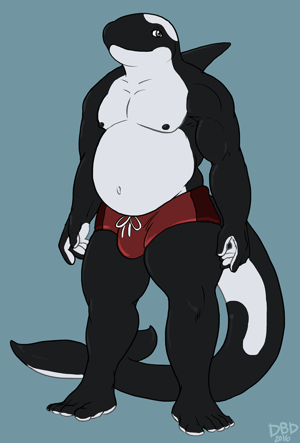anthro bulge cetacean clothing dbd looking_at_viewer male mammal marine musclegut nipples orca overweight smile solo swimming_trunks swimsuit whale