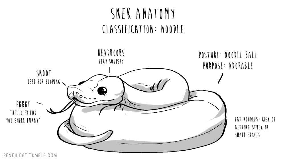 ambiguous_gender anatomy cute english_text feral forked_tongue pencilcat reptile scalie simple_background snake snek solo text tongue tongue_out white_background