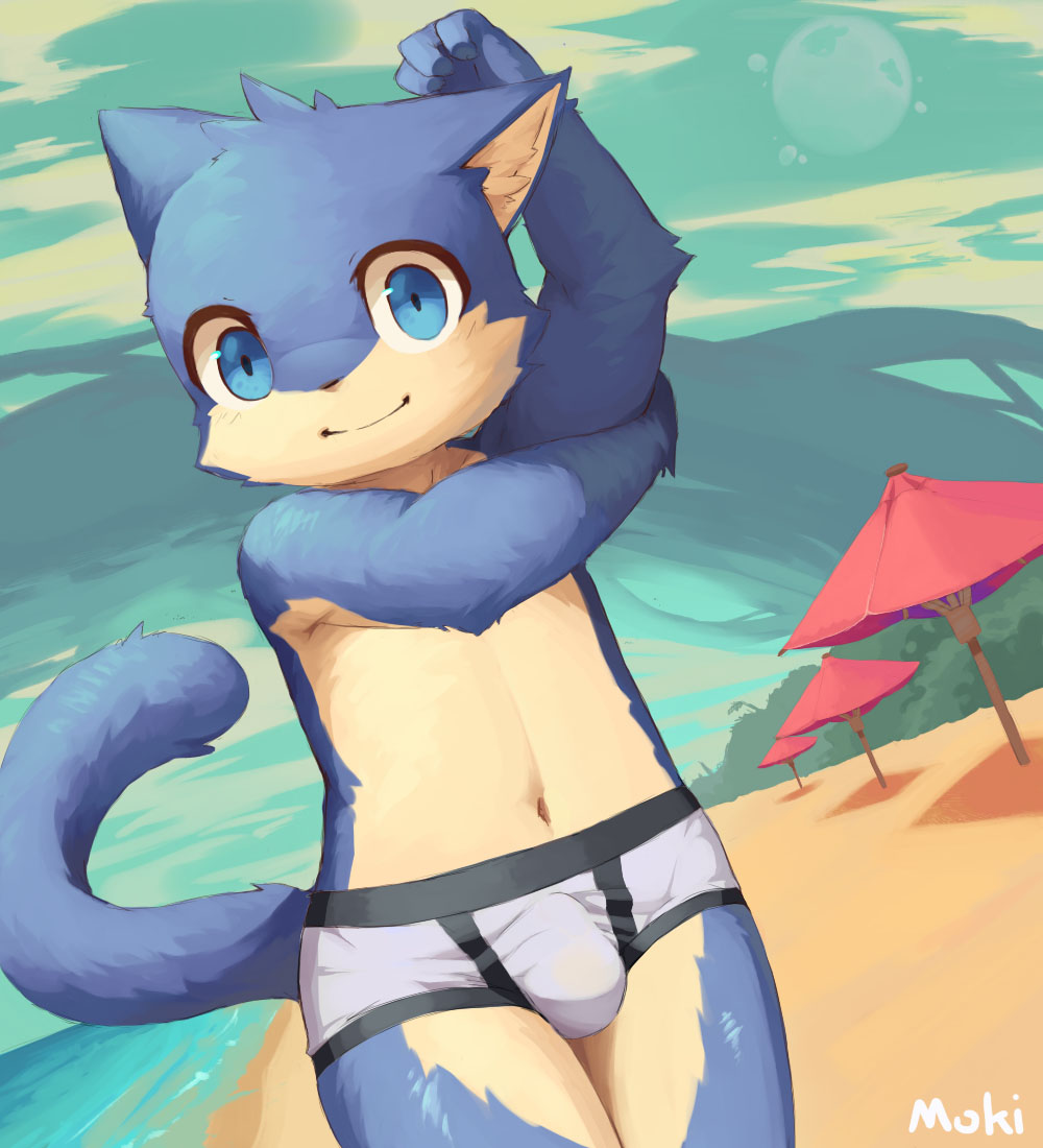 beach bulge cat clothed clothing cub dutch_angle feline looking_at_viewer male mammal moki navel outside seaside signature smile solo standing stretching swimsuit tight_clothing topless young