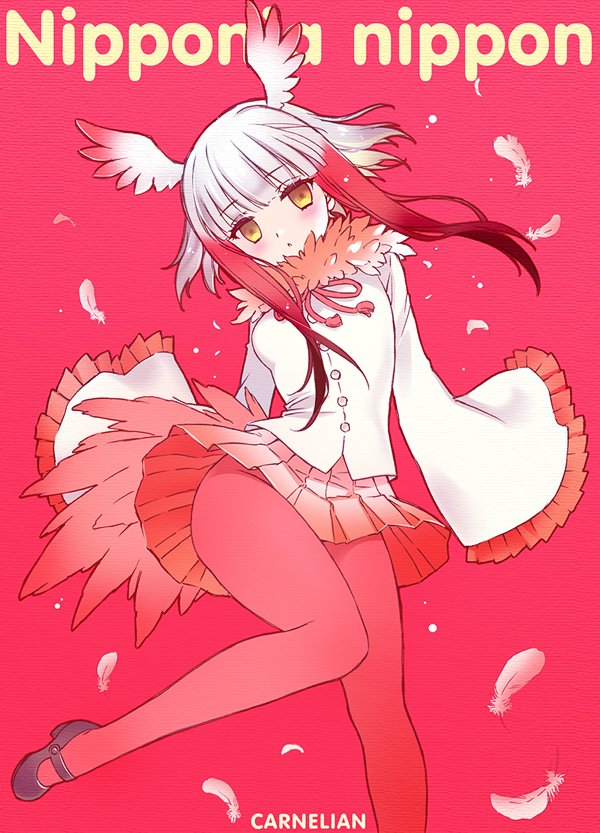 artist_name bangs bird_tail blunt_bangs blush carnelian character_name commentary_request feathers frilled_sleeves frills head_wings japanese_crested_ibis_(kemono_friends) kemono_friends legs long_sleeves looking_at_viewer mary_janes multicolored_hair open_mouth pantyhose pleated_skirt red_background red_legwear scientific_name shoes short_hair sidelocks skirt solo two-tone_hair yellow_eyes