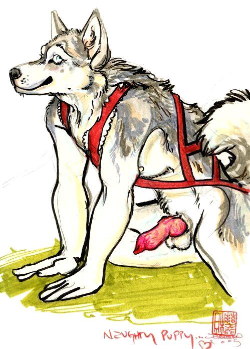2005 anthro balls canine dog harness java knot male mammal nude penis solo