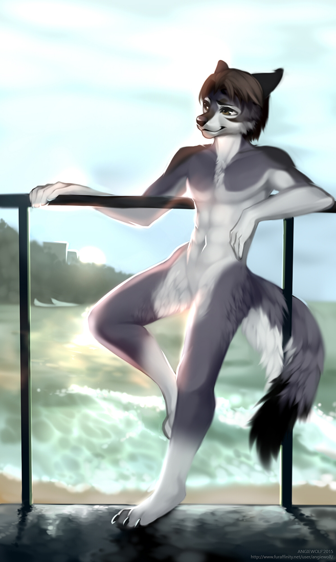 2015 5_fingers angiewolf anthro black_nose brown_eyes brown_fur canine day detailed_background eyelashes featureless_crotch fur grey_fur male mammal navel outside sky smile standing white_fur wolf