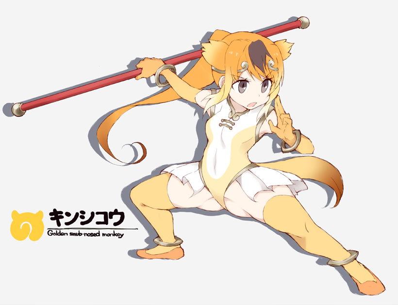 :o animal_ears bangle bracelet breasts character_name circlet covered_navel elbow_gloves english eyebrows_visible_through_hair frilled_skirt frills full_body gloves golden_snub-nosed_monkey_(kemono_friends) gradient_hair grey_eyes groin_tendon highleg highleg_leotard holding holding_staff holding_weapon japari_symbol jewelry kemono_friends leotard long_hair medium_breasts monkey_ears monkey_tail multicolored_hair open_mouth orange_hair ponytail pose shadow simple_background skirt sleeveless solo souji spread_legs staff tail text_focus thighhighs thighs two-tone_hair v-shaped_eyebrows weapon white_background yellow_legwear yellow_leotard