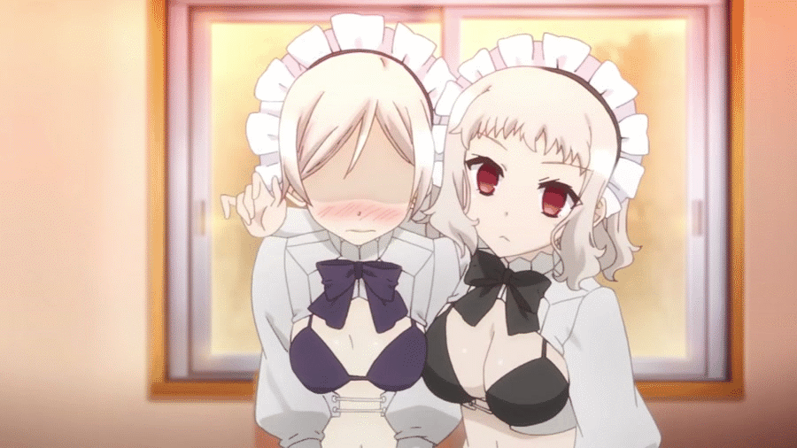 2girls animated animated_gif breasts embarrassed fate/kaleid_liner_prisma_illya fate_(series) large_breasts leysritt maid multiple_girls sella