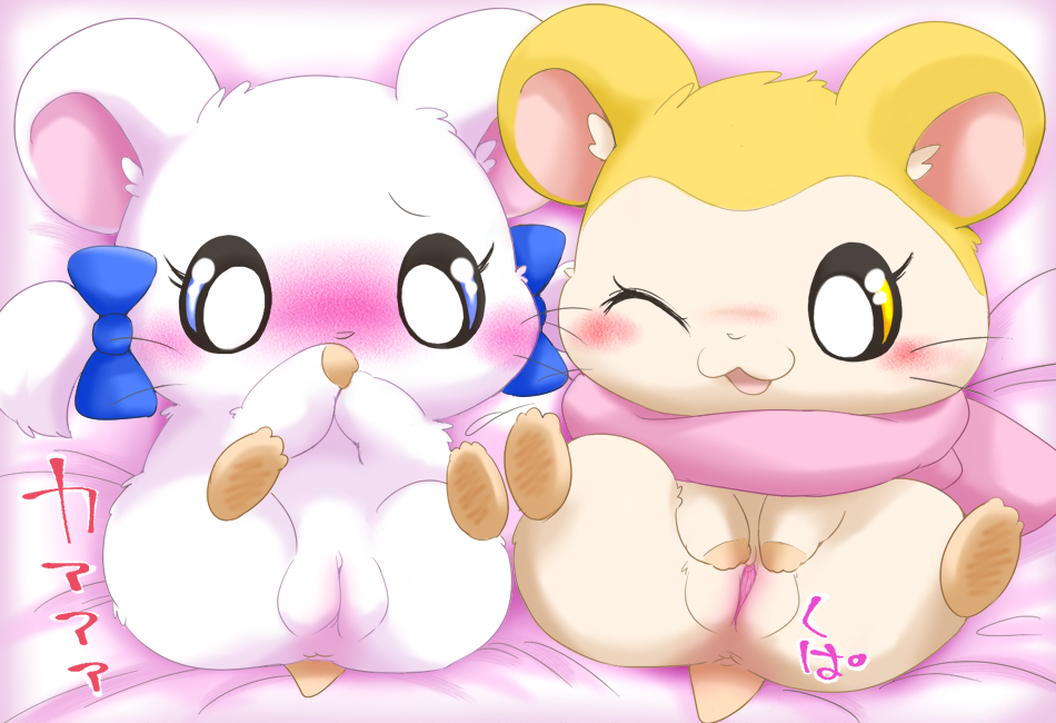 anus bed bijou blue_eyes blush duo eyelashes female feral fur hamster hamtaro_(series) lying mammal on_back one_eye_closed open_mouth pashmina pussy ribbons rodent scarf spread_pussy spreading suvaru text white_fur wink yellow_eyes