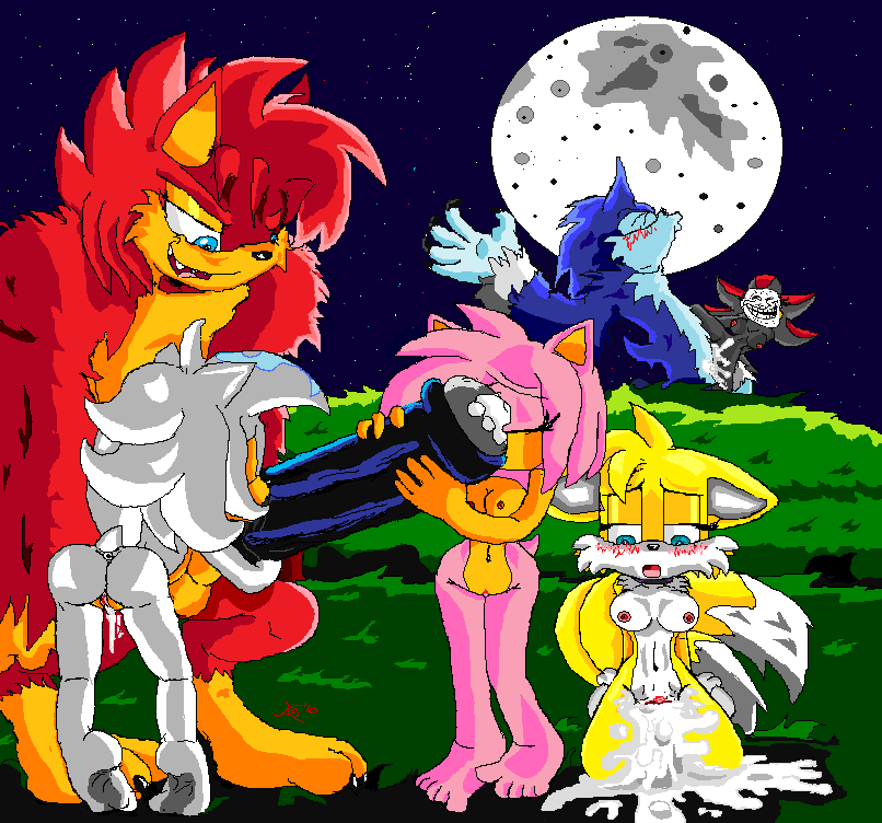 amy_rose rule_63 shadow_the_hedgehog sonic_team sonic_the_hedgehog sonic_the_werehog sonic_unleashed tails