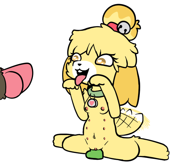 &lt;3 animal_crossing begging bell breasts canine collar digitigrade dildo dog female isabelle_(animal_crossing) male mammal multi_nipple nintendo nipples penis piebunny pussy sex_toy tailwag tongue tongue_out video_games