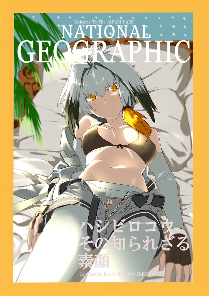 arms_at_sides bangs bare_shoulders bed bed_sheet belt black_bra black_gloves black_hair blush bra breasts breasts_apart closed_mouth collarbone commentary_request cowboy_shot fingerless_gloves gloves grey_hair grey_legwear grey_shirt kemono_friends long_hair looking_at_viewer low_ponytail lying medium_breasts multicolored_hair national_geographic navel ningen_(ningen96) on_back on_bed open_clothes open_fly open_shirt open_shorts orange_eyes orange_hair panties panties_under_pantyhose pantyhose parody pillow shirt shoebill_(kemono_friends) short_sleeves shorts shorts_pull side_ponytail solo stomach underwear undone_belt unzipped yellow_eyes