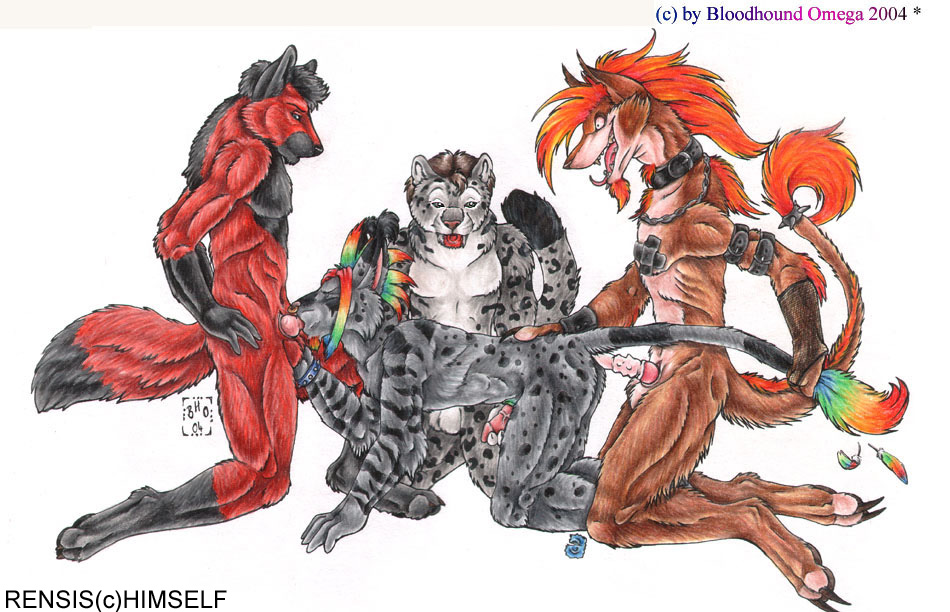 2004 anal balls bloodhound_omega canine claws collar condom feline fondling group group_sex hair leopard mammal maned_wolf multicolored_hair oral orgy rainbow_hair rensis sex snow_leopard