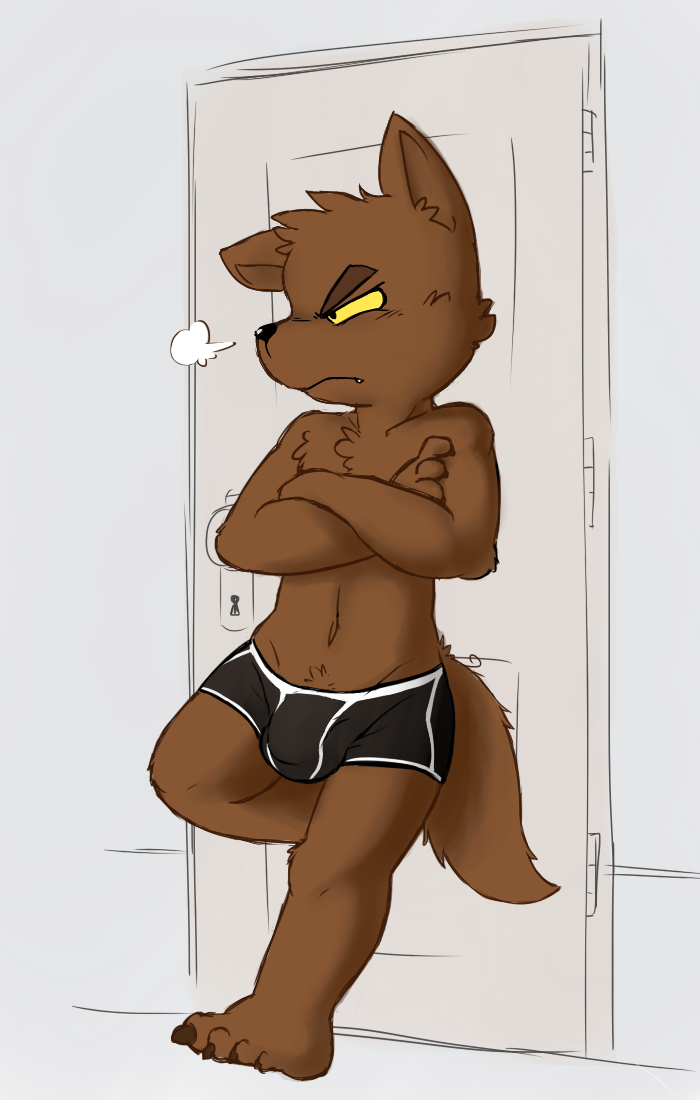 angry anthro black_nose briefs brown_fur bulge canine clothed clothing crossed_arms dog door fur male mammal navel oob solo standing topless underwear yellow_sclera