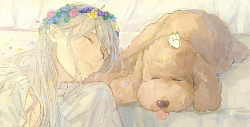 bug butterfly butterfly_on_head closed_eyes dog flower head_wreath insect long_hair lying makkachin male_focus nita_(msre27) parted_lips petals silver_hair teenage tongue tongue_out viktor_nikiforov younger yuri!!!_on_ice