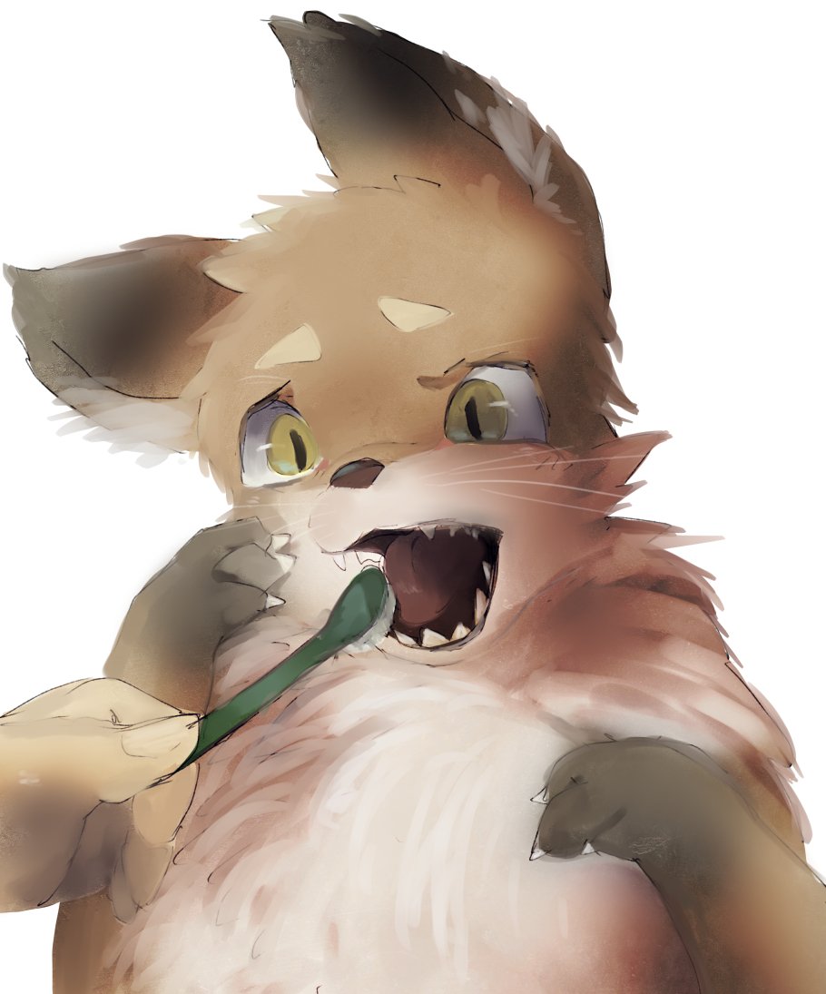 canine disembodied_hand fox mammal nuko0923 open_mouth simple_background toothbrush white_background yellow_eyes ぬこちー