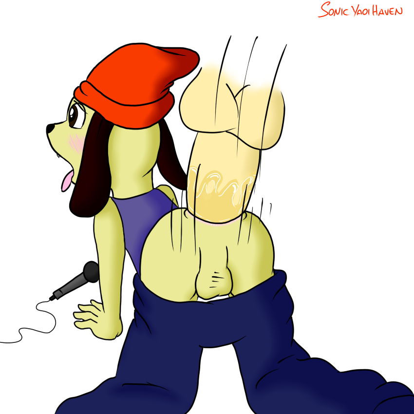 beanie blush canine dog hat lying male male/male mammal microphone missionary_position on_back parappa parappa_the_rapper sex sonicyaoihaven video_games