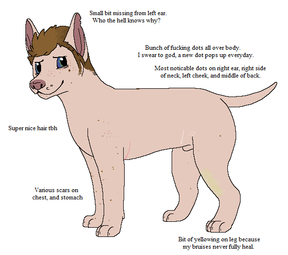 2015 aliasing animal_genitalia black_text blue_eyes bluekyokitty brown_hair canid canine canis digital_drawing_(artwork) digital_media_(artwork) digitigrade domestic_dog english_text facial_hair feral feral_with_hair flat_colors freckles full-length_portrait fully_sheathed genitals hair hairless hairless_dog looking_at_viewer male mammal narrowed_eyes notched_ear paws pink_body pink_scar pink_skin portrait profanity sebdoggo sheath sideburns simple_background snout solo standing tail text white_background