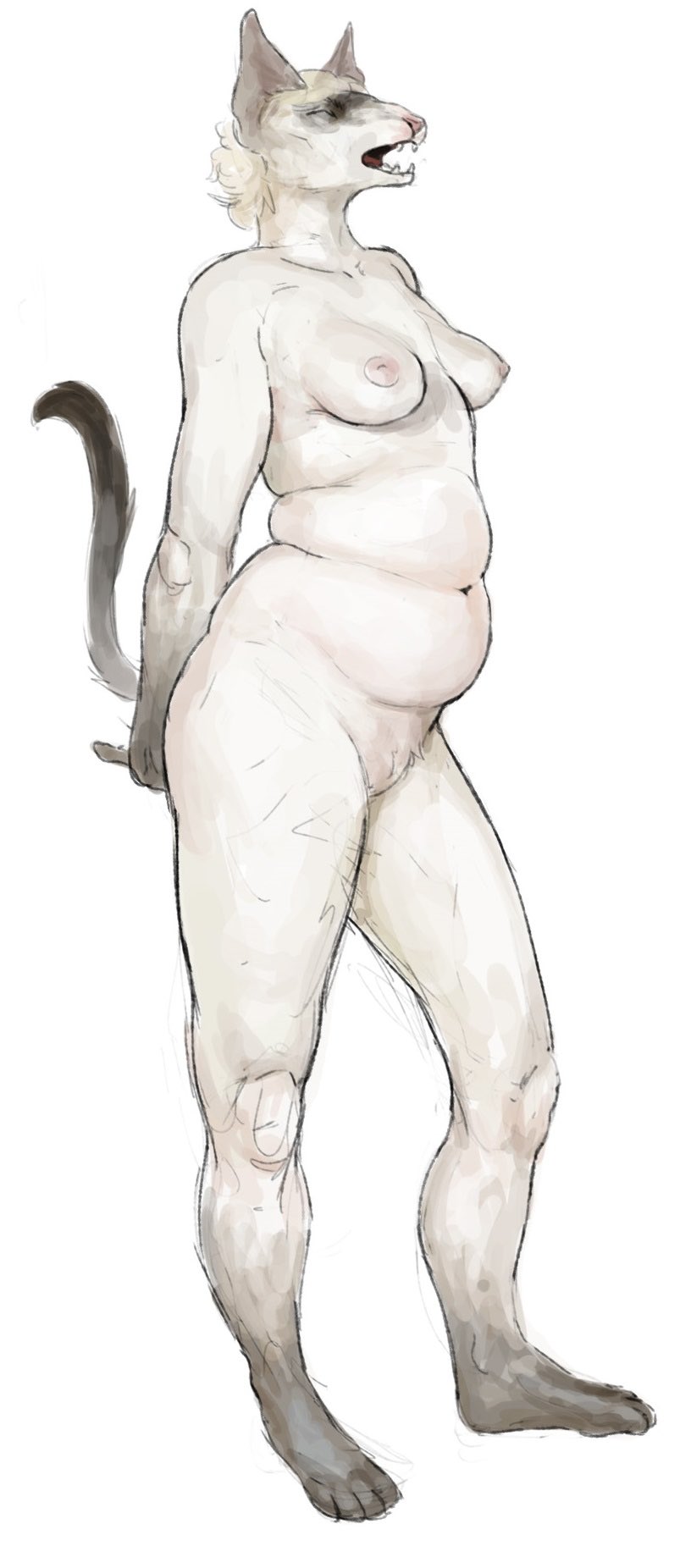 anthro belly big_belly cettus domestic_cat felid feline felis female hi_res mammal nude open_mouth overweight overweight_female siamese solo solo_focus stretching wide_hips yawn