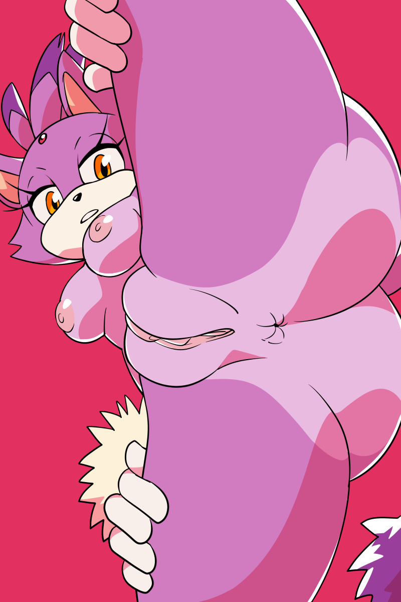 anthro blaze_the_cat breasts butt clothing dangerlicks felid feline female genitals gloves handwear hi_res looking_at_viewer mammal nipples pussy sega solo solo_focus sonic_the_hedgehog_(series) spread_legs spreading standing_over tail