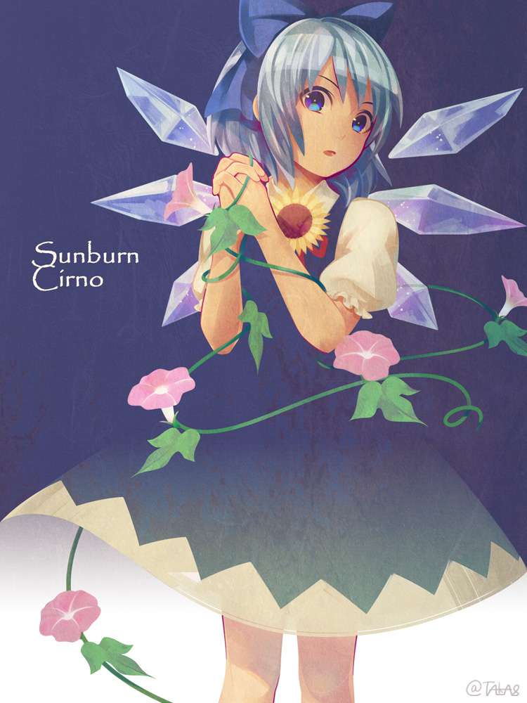 bad_id bad_pixiv_id banned_artist blue_bow blue_dress blue_eyes blue_hair bow cirno commentary_request cowboy_shot dress english flower hair_bow hidden_star_in_four_seasons ice ice_wings looking_at_viewer morning_glory puffy_short_sleeves puffy_sleeves short_hair short_sleeves solo sunflower tanned_cirno touhou twitter_username wings yuge_mugito