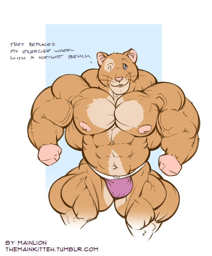 2015 abs anthro areola bulge clothed clothing dialogue grey_eyes hamster hyper hyper_muscles jockstrap mainlion male mammal muscular muscular_male nipples one_eye_closed partially_clothed pecs rodent simple_background solo text thick_thighs underwear vein veiny_muscles wink