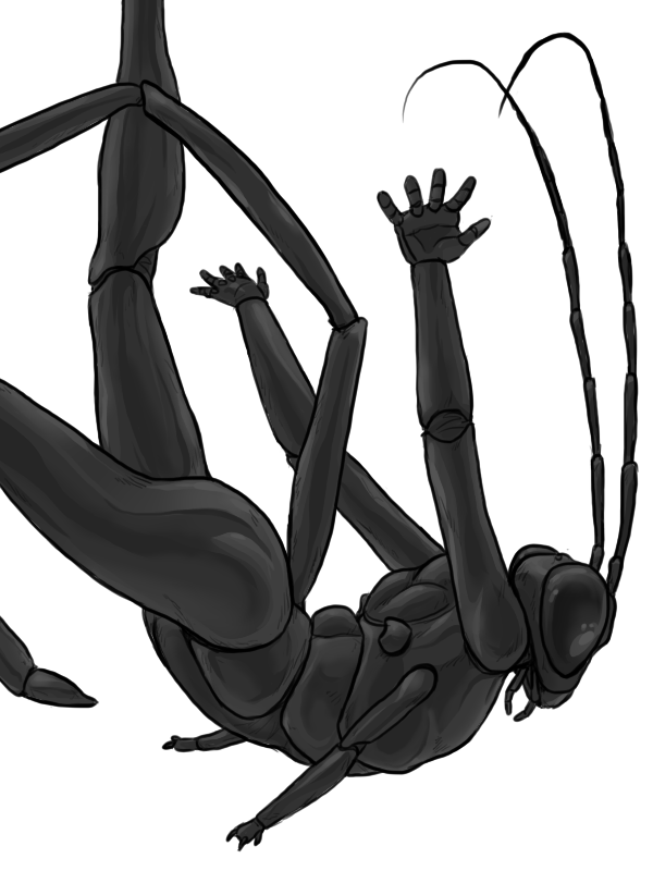 2016 3_fingers 4_arms 5_fingers abc_insects abdomen ambiguous_gender anatomically_correct antennae anthro arms_above_head arthropod athletic black_eyes black_skin compound_eyes digital_drawing_(artwork) digital_media_(artwork) exoskeleton falling flat_chested hands_behind_back insect looking_down mandibles multi_arm multi_limb nude pelecinid_wasp portrait raised_leg shiny side_view simple_background skelebee sketch solo three-quarter_portrait wasp white_background